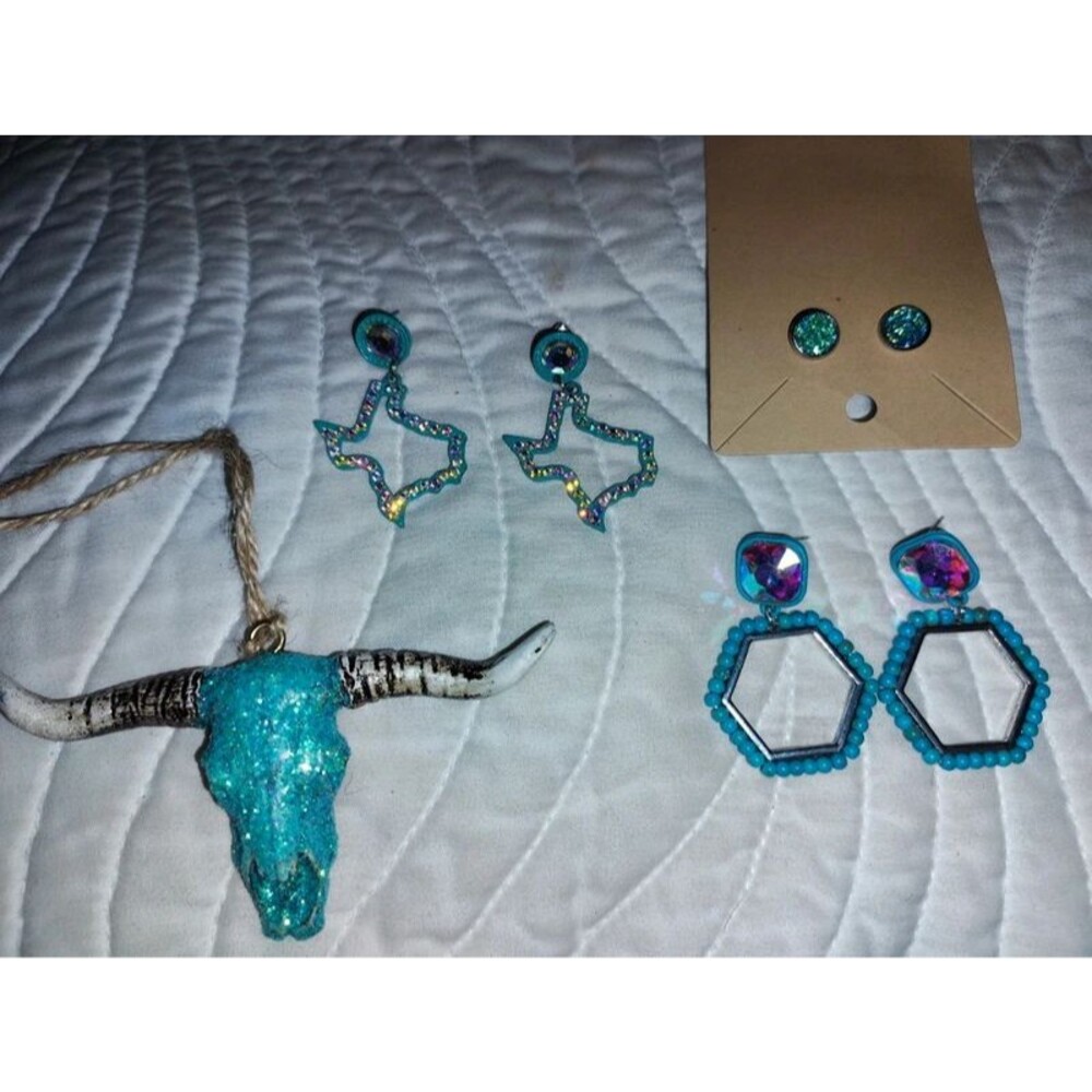 Western earrings and a cow skull
